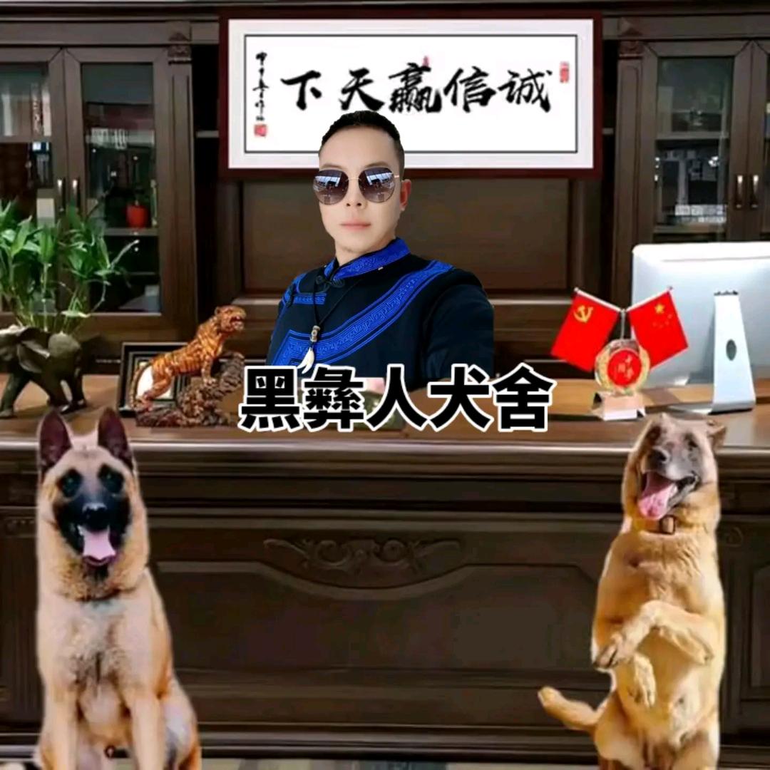 云南黑彝人犬舍