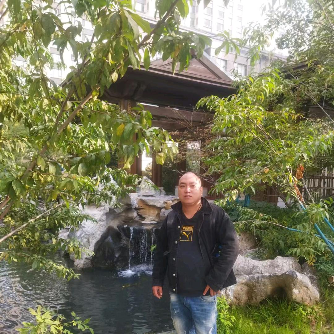 《豫东郸城》《纪伟》