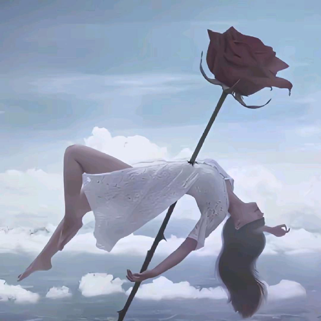 创美官问题肌-华华