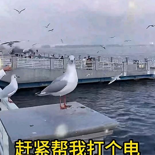 为了生活
