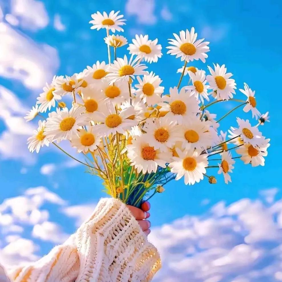 🌹云南🌻