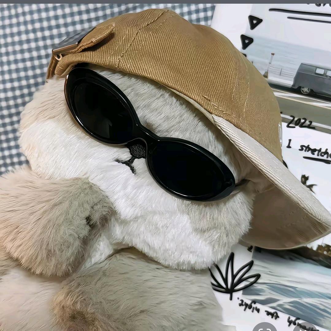 …巡检