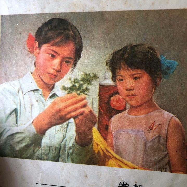 铁打的姑娘怕过谁