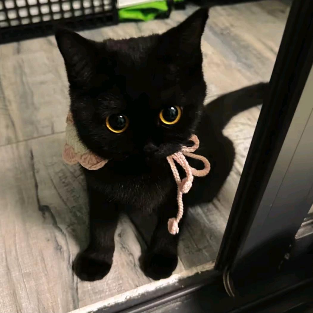 拿不到驾照不改名