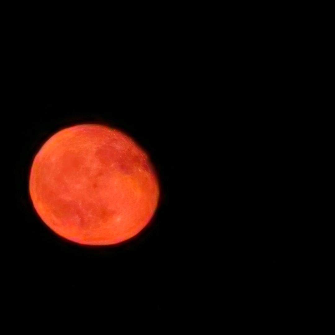 秋风( ´◔‸◔`)