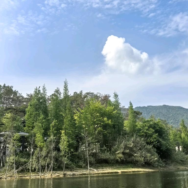 梅烦恼