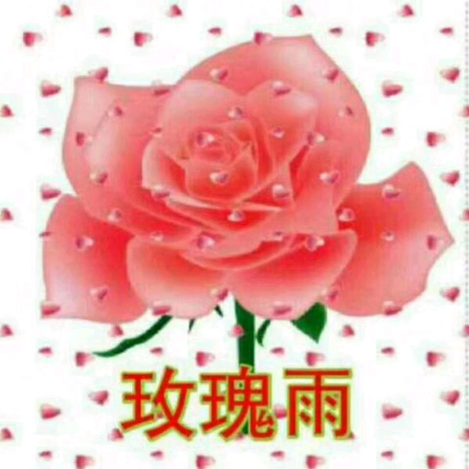 玫瑰雨