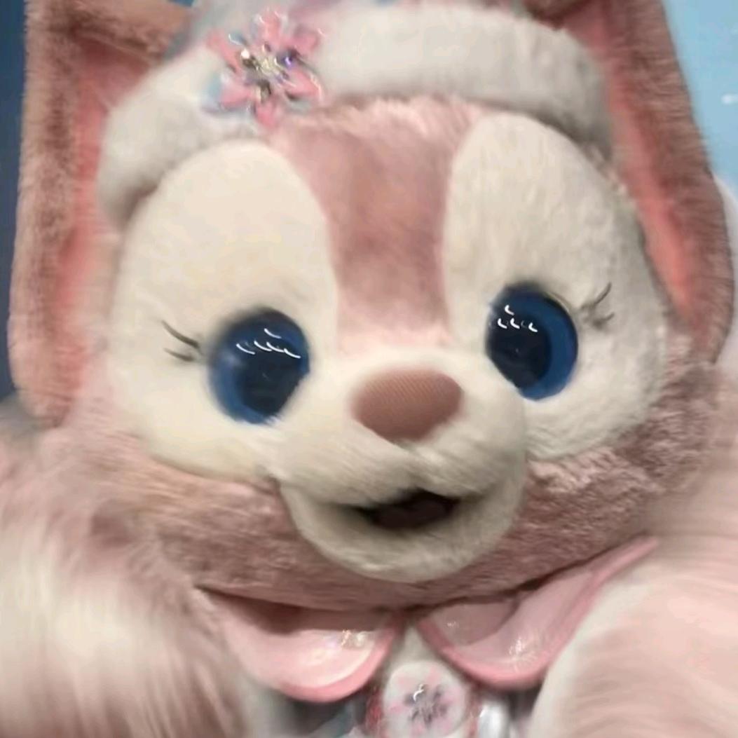 🌈阿狸（陆沉兔子小姐查理苏未婚妻版🌈