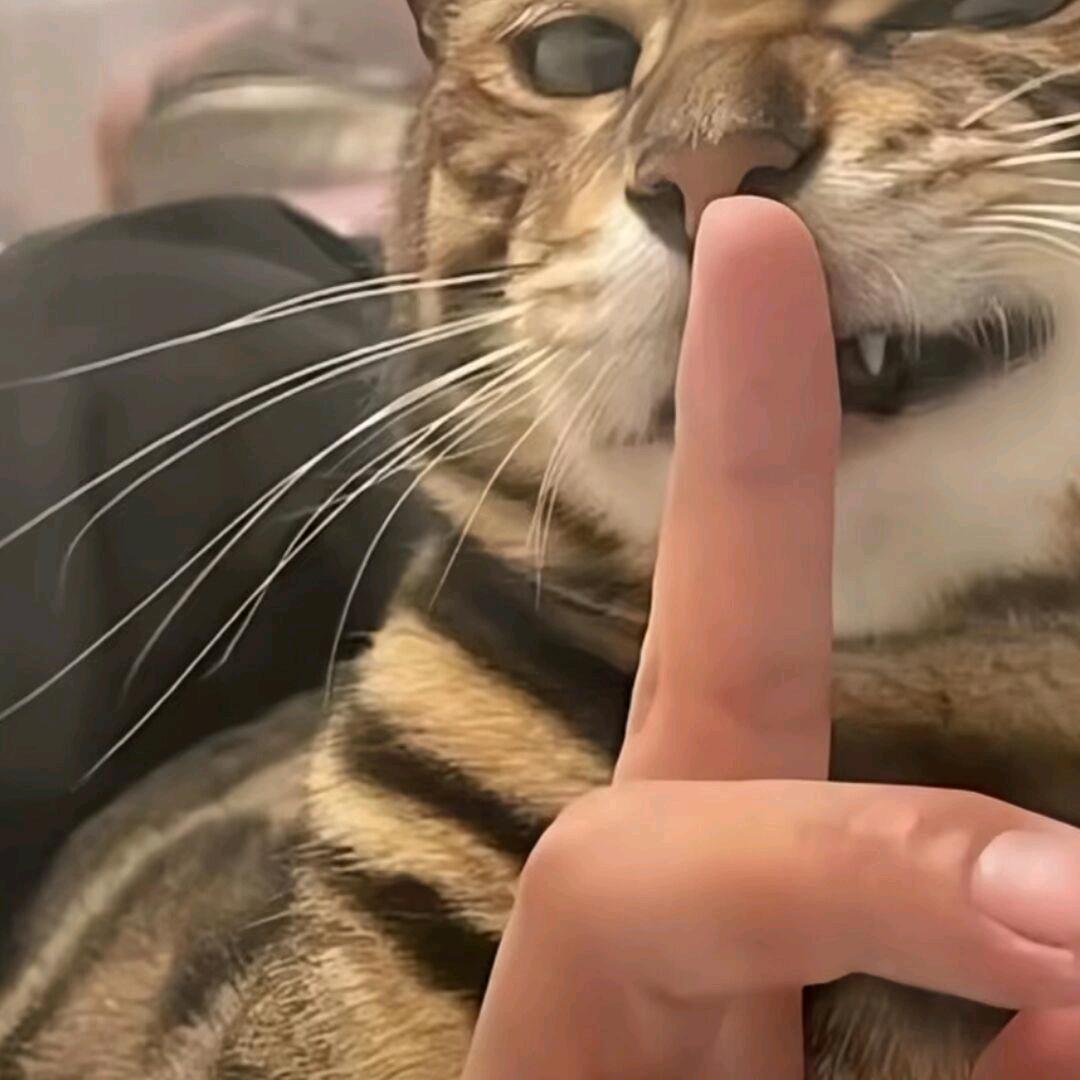 十八.