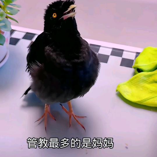顺其自然的我