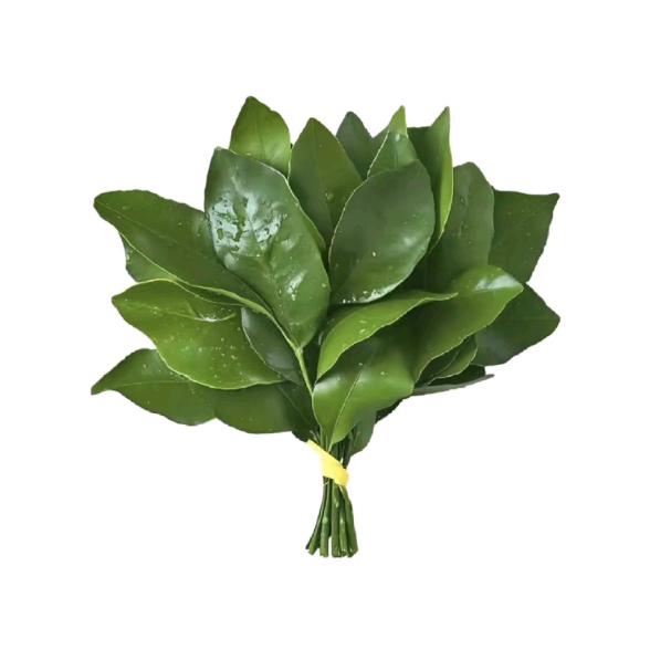 开心一万年