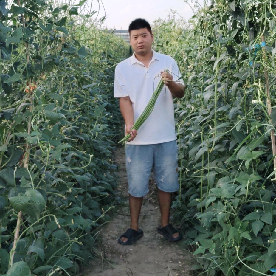 祥符区贾寨洋丰农资