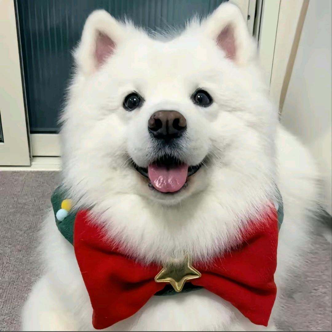 🍒时光꧔ꦿ᭄安好