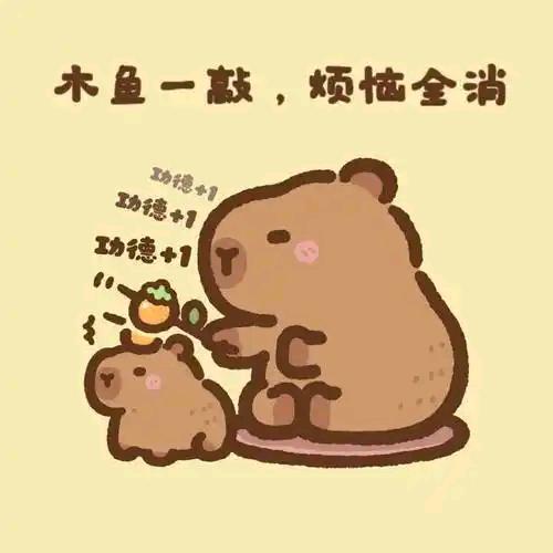 娟微硕