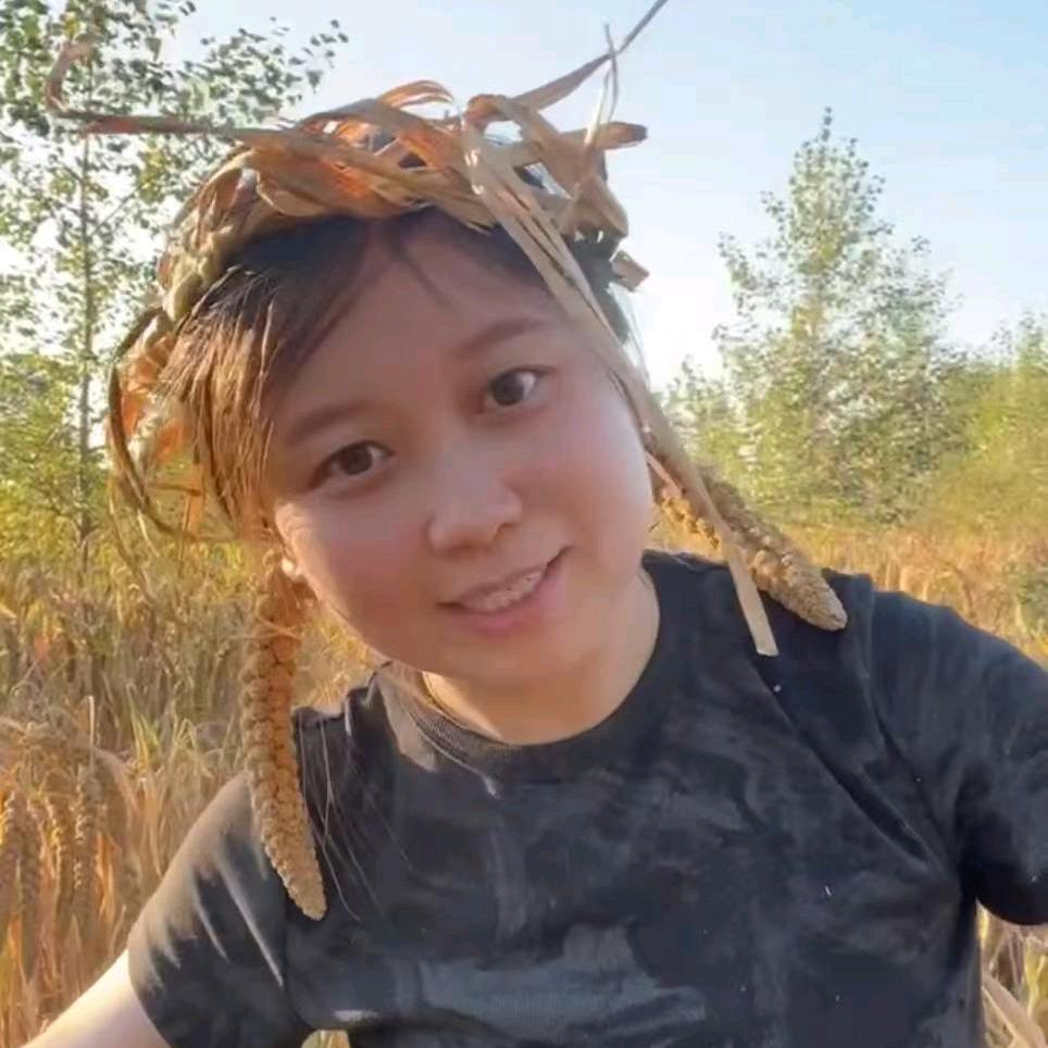 杨妥妥的盐碱地小米