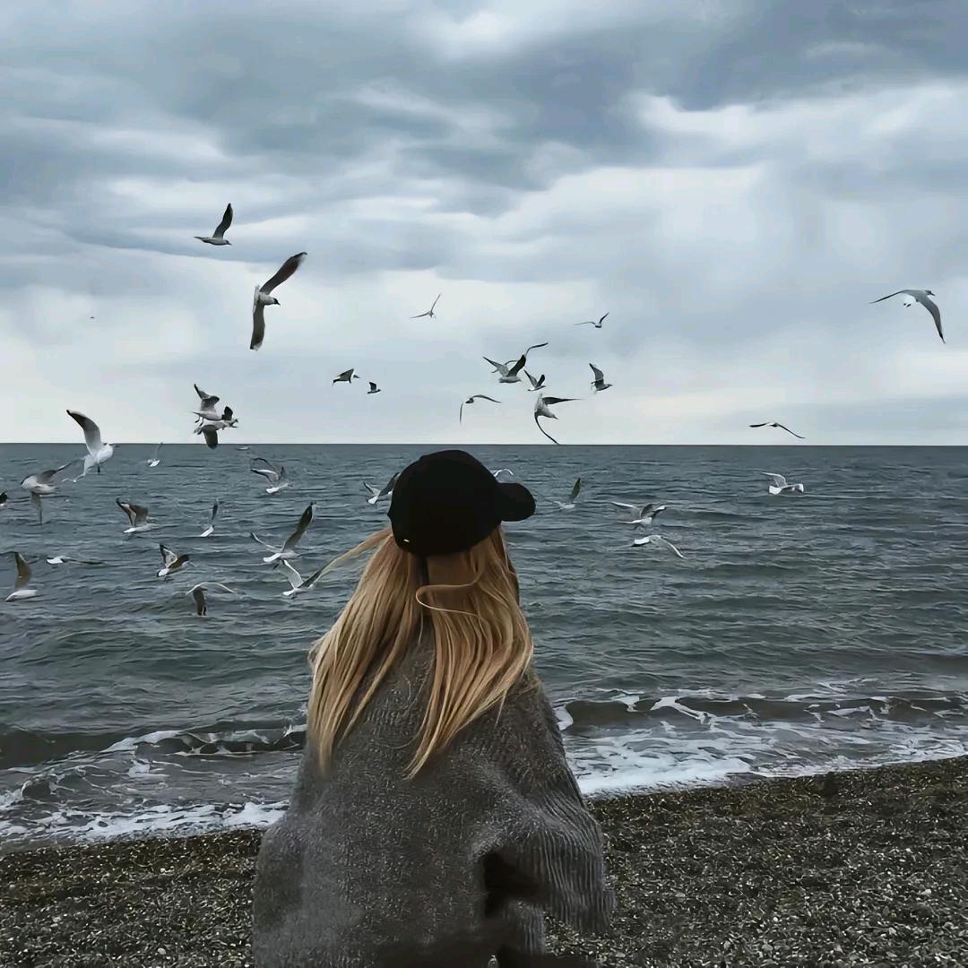 一只胖胖的企鹅🗝️