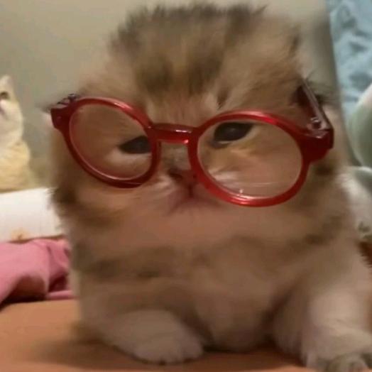 沙发在孵我的屁股