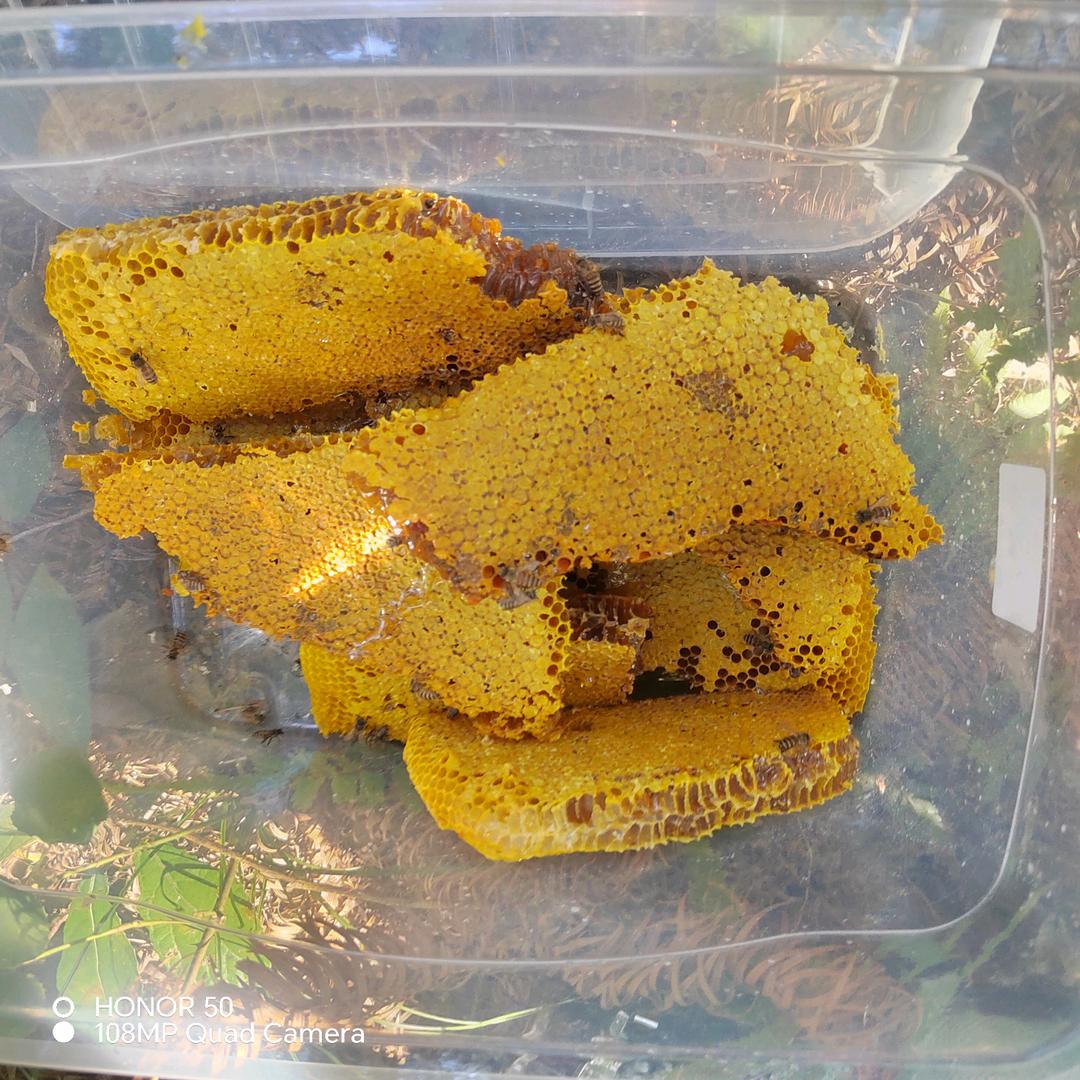 生活不易，搞点蜂蜜