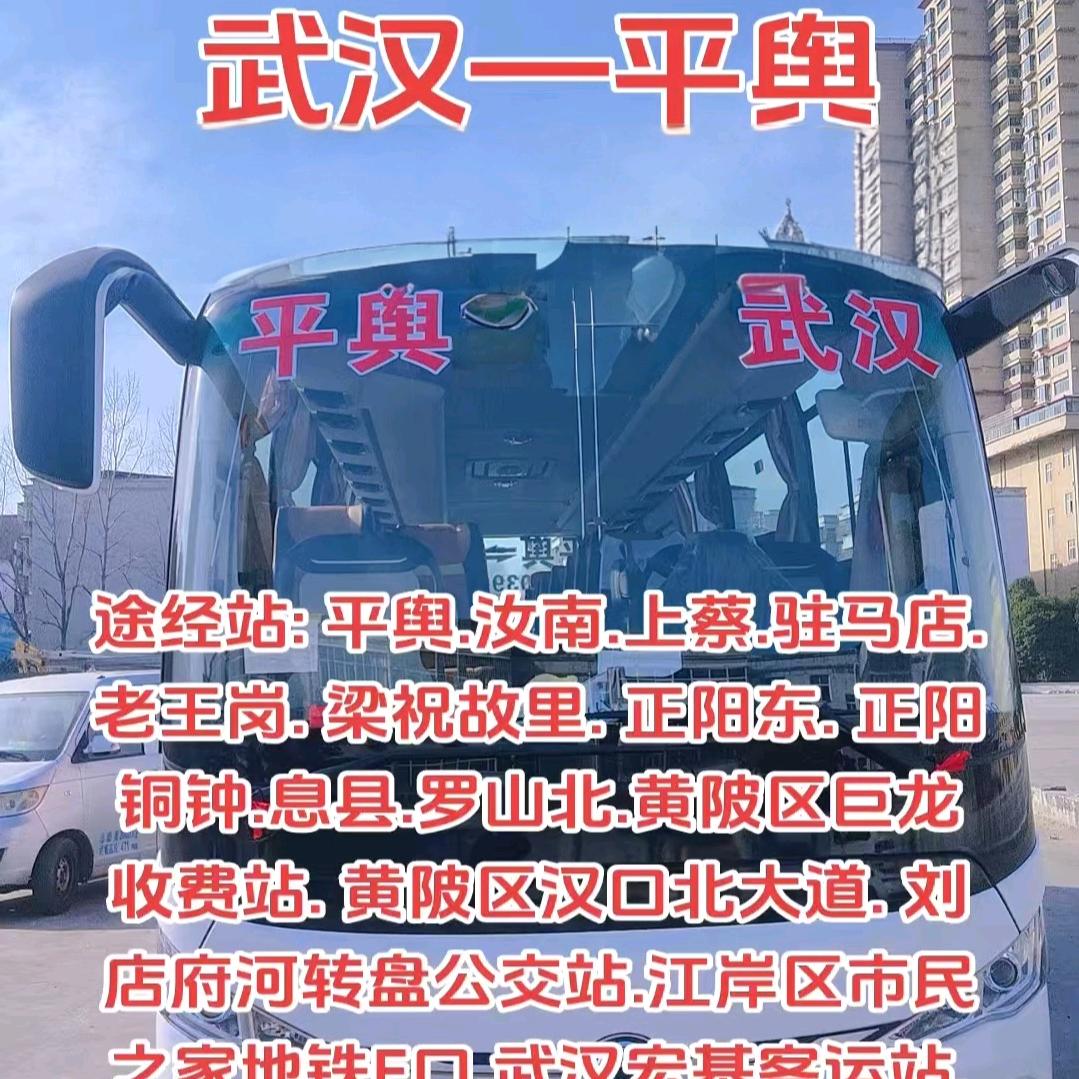 平舆往返武汉快客