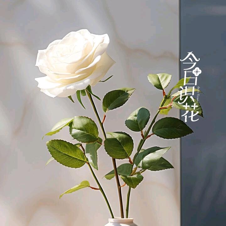 独处