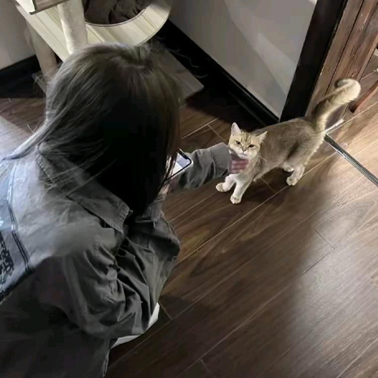 欣子、