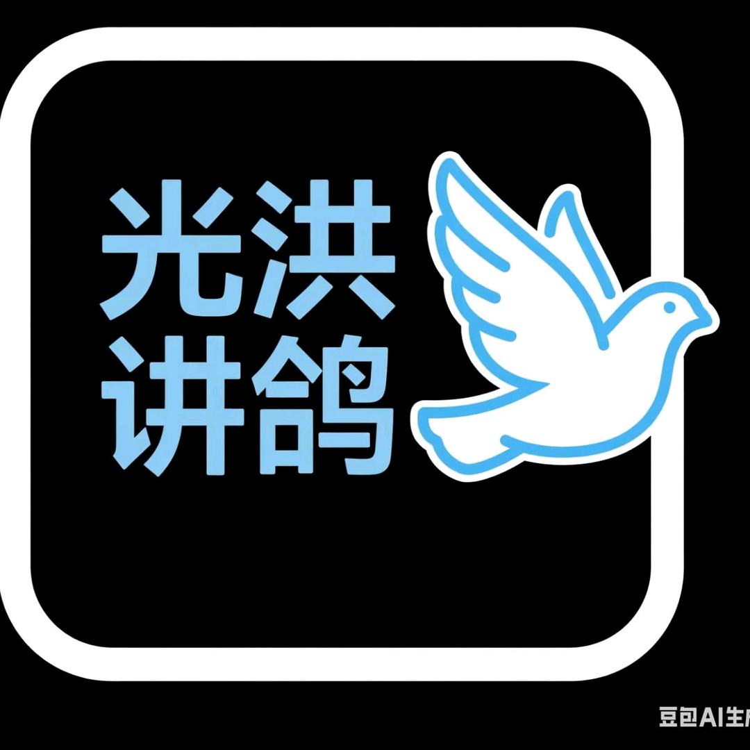 光洪讲鸽