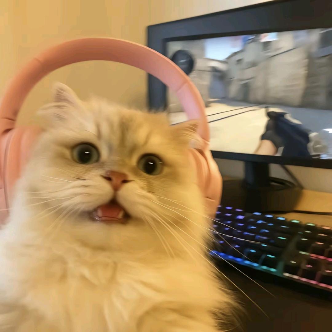 KI.