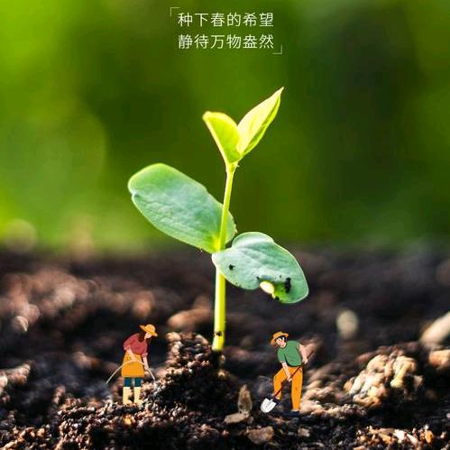 『分享知识』空