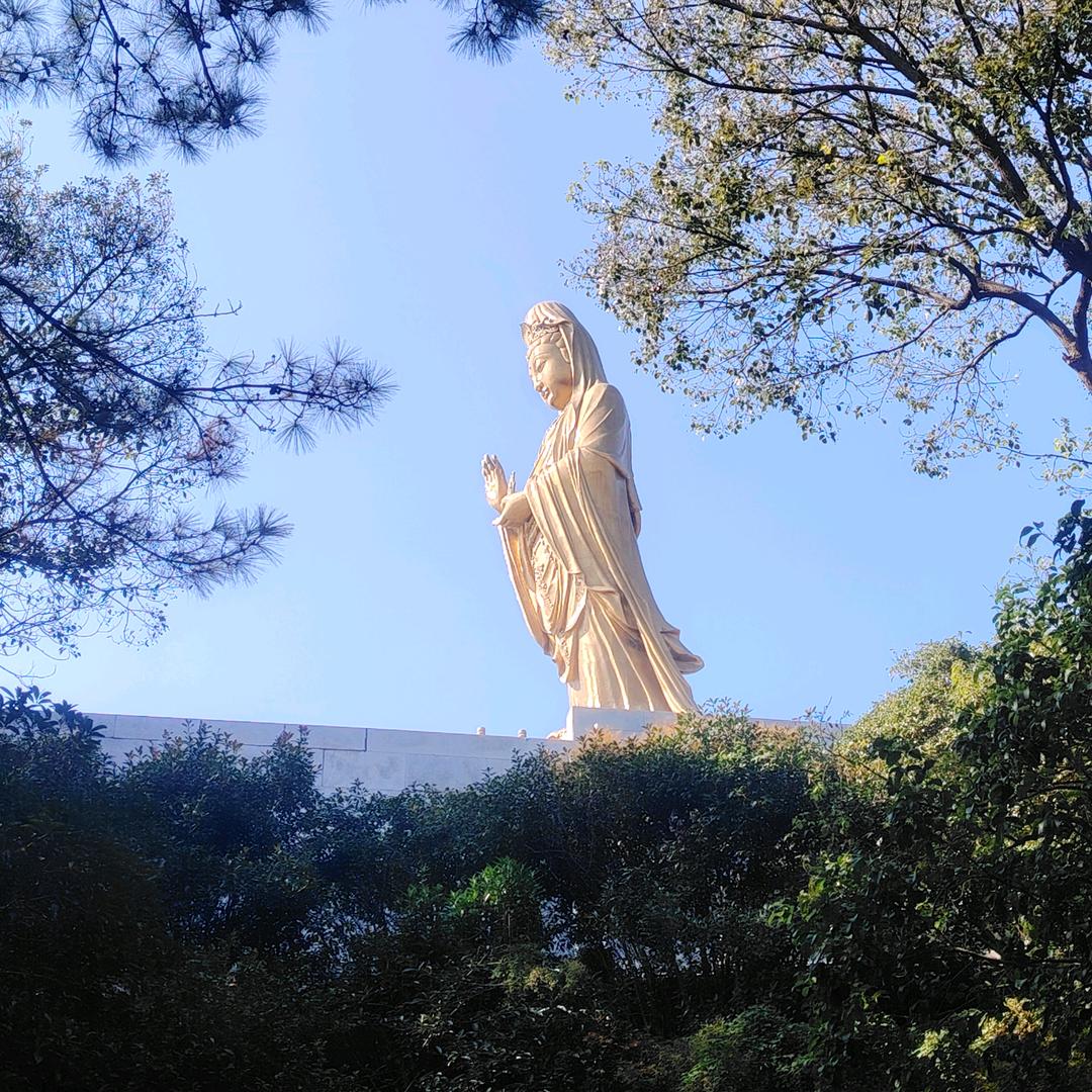 🐲龍鑫阁📿2号