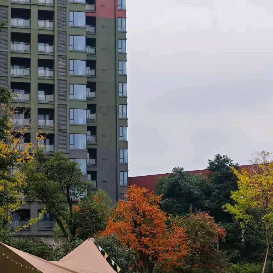 小郭在成都卖房子