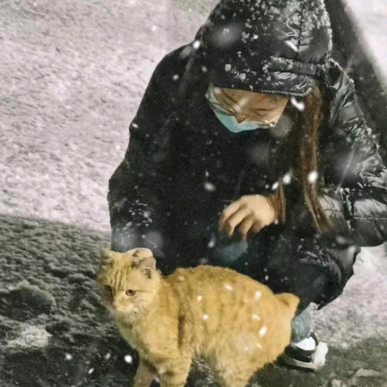 宿火