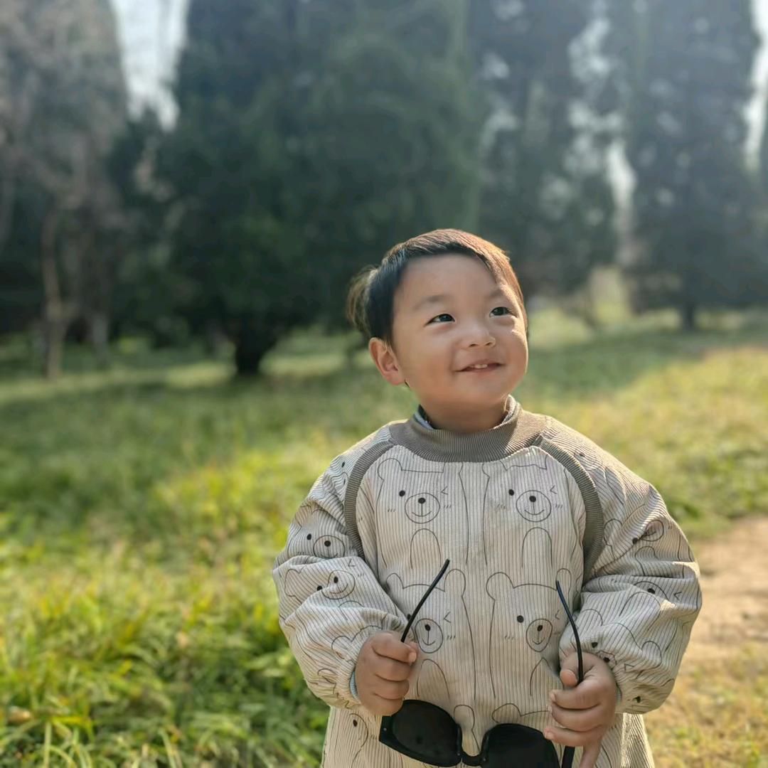迷路的麋鹿