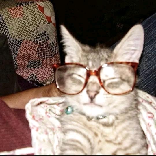 上帝死于情绪不稳定