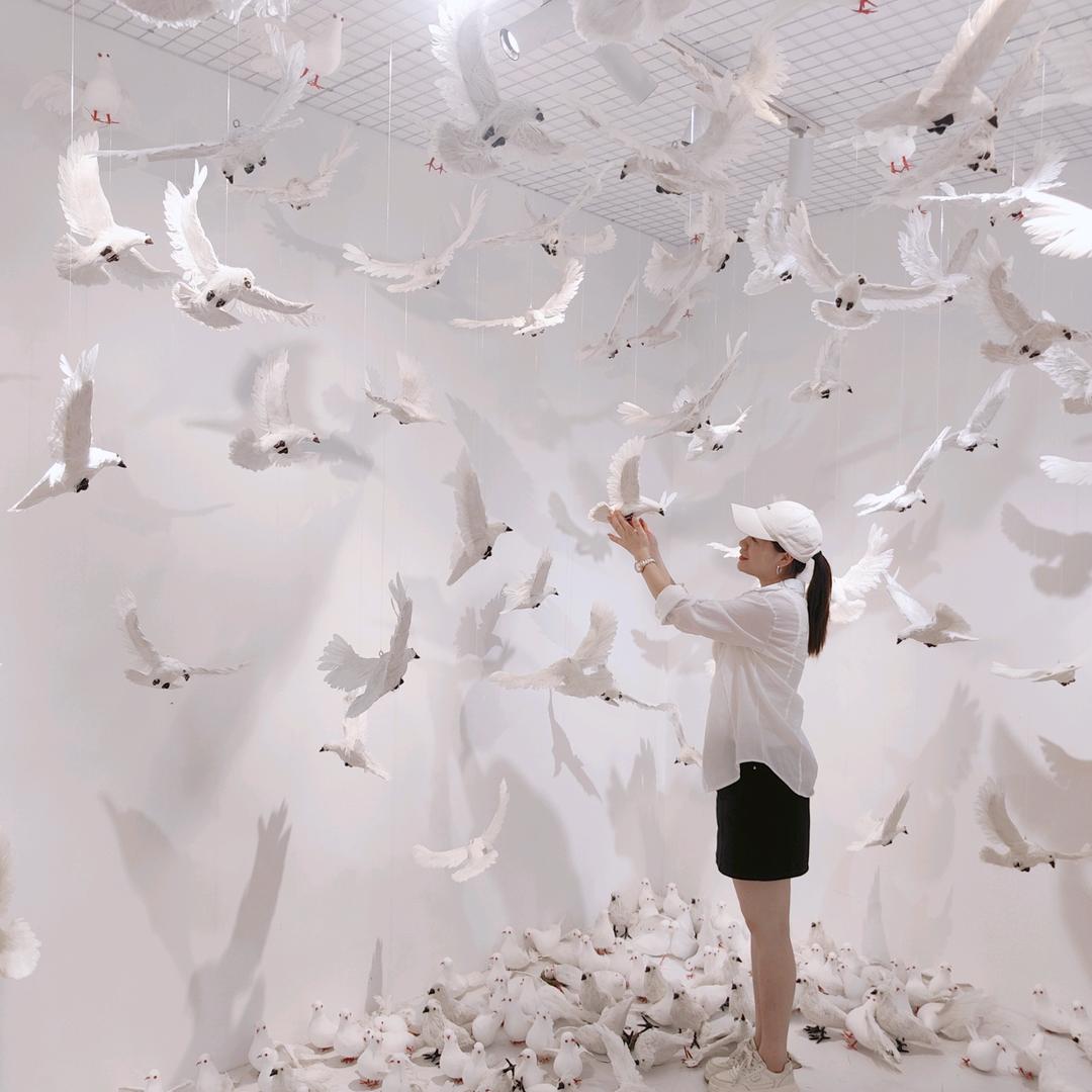 众方大药房👉小清