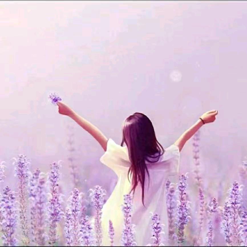 《依恋轩》🐇🌹🌹