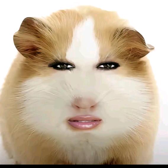 猪妞