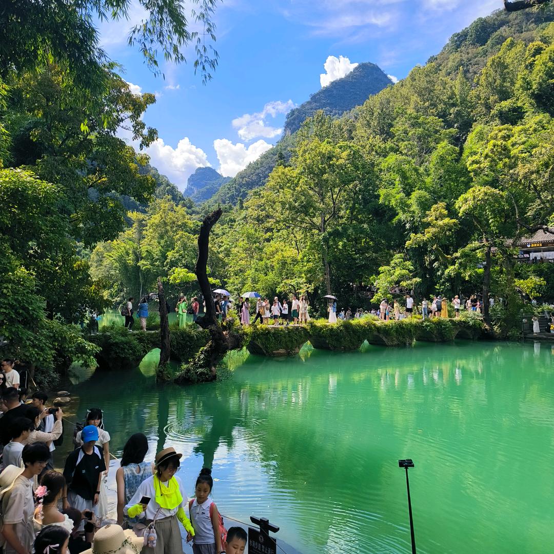 桂馥兰馨
