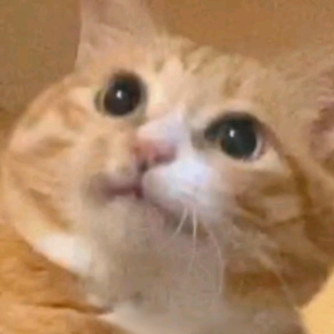 雪代