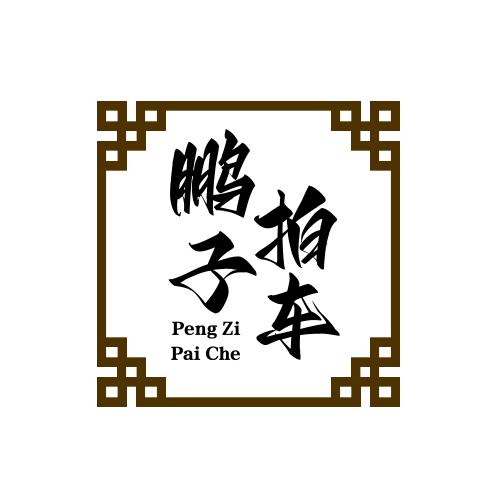 鹏子拍车