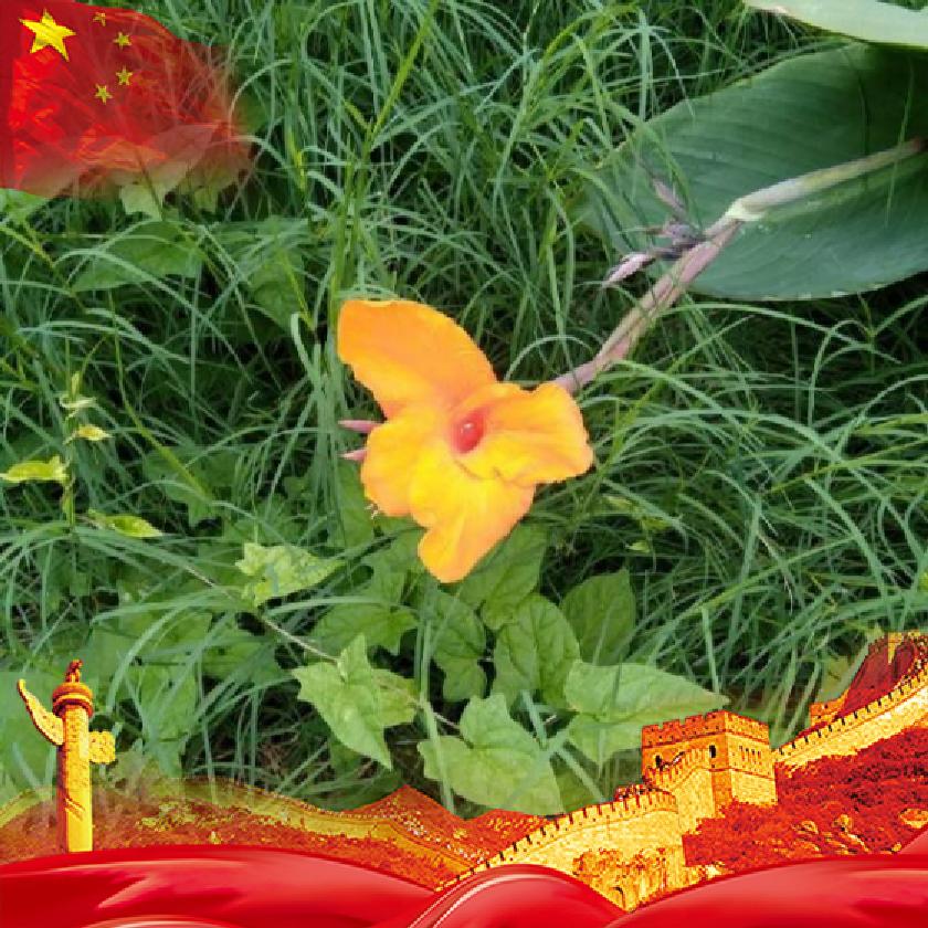 落日与晚风