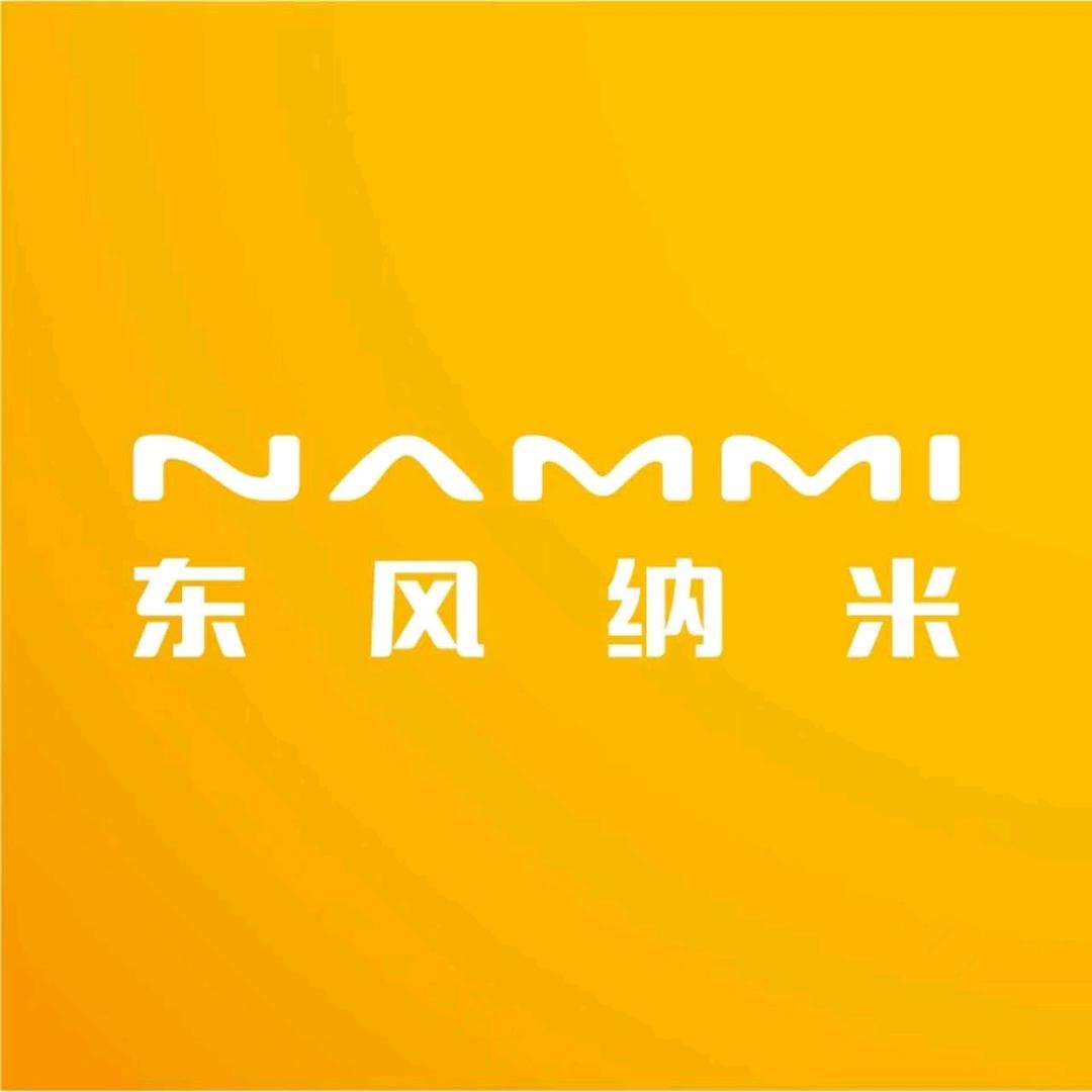 东风纳米06东莞厚街店