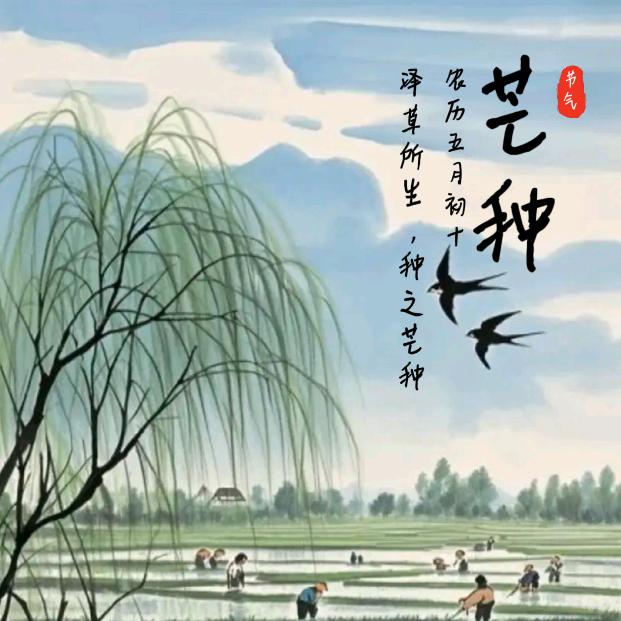美好愿望