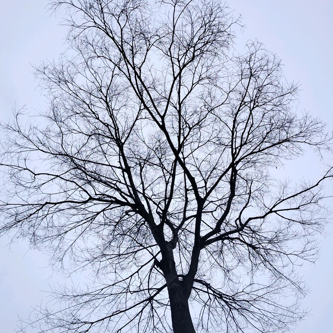 👿👿失忆👿👿