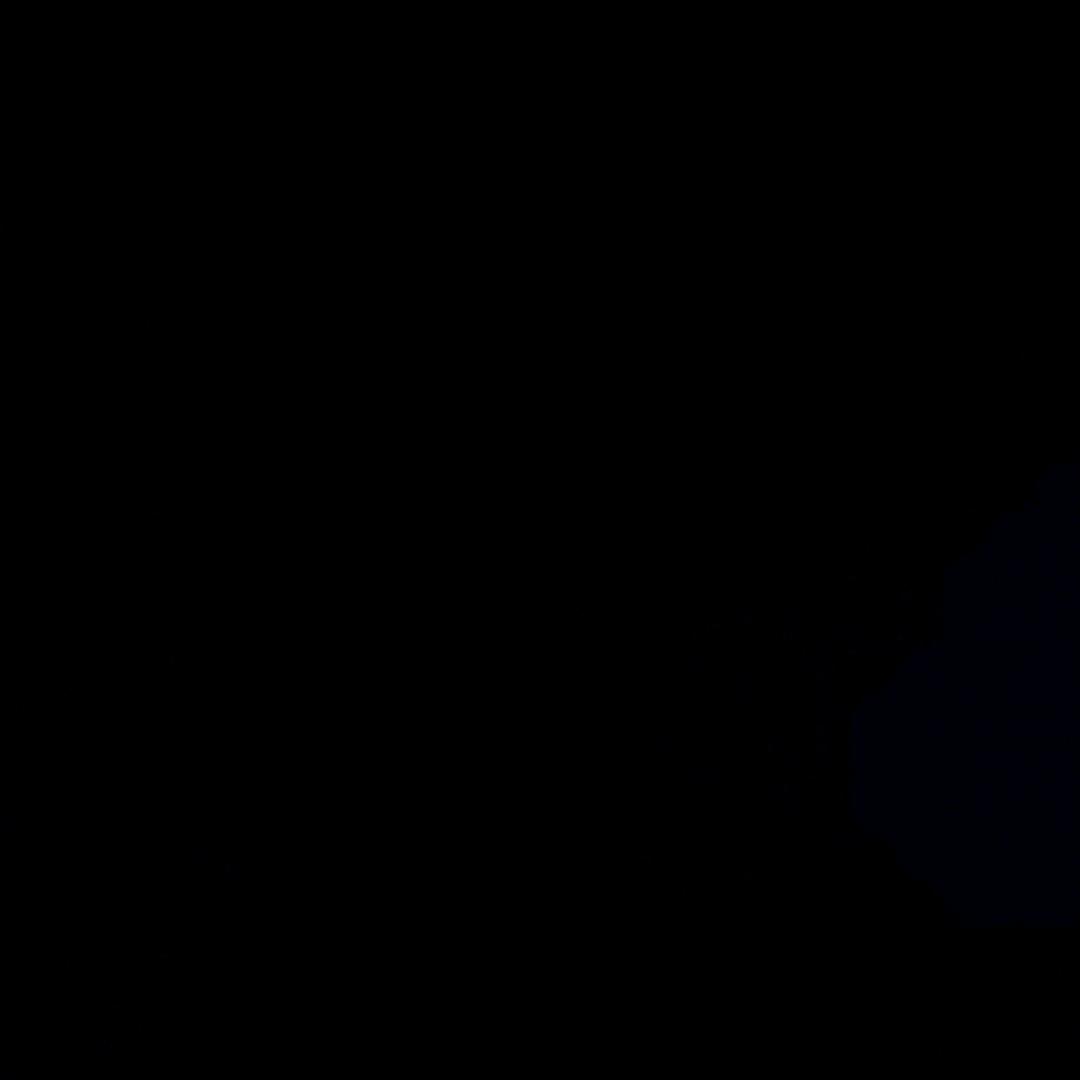 来年再战내년에 다시 도전하자