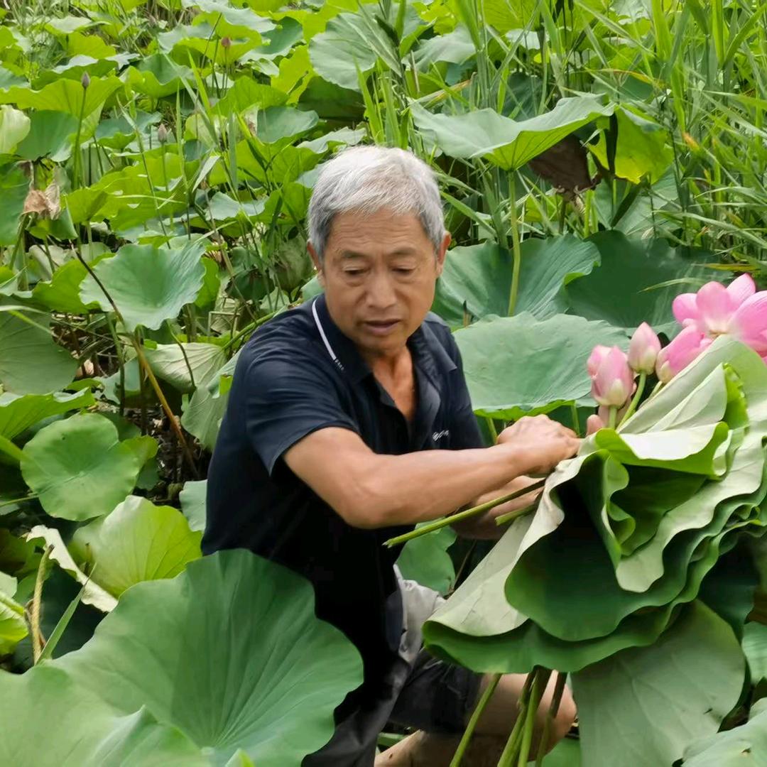 白洋淀赵庄子康洁旅游接待赵文社