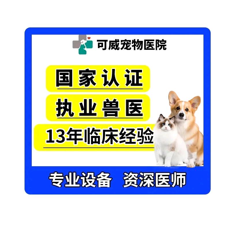 蚌埠可威宠物医院