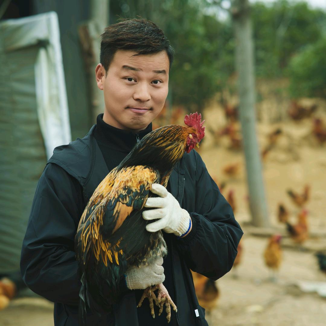 小生鸡王