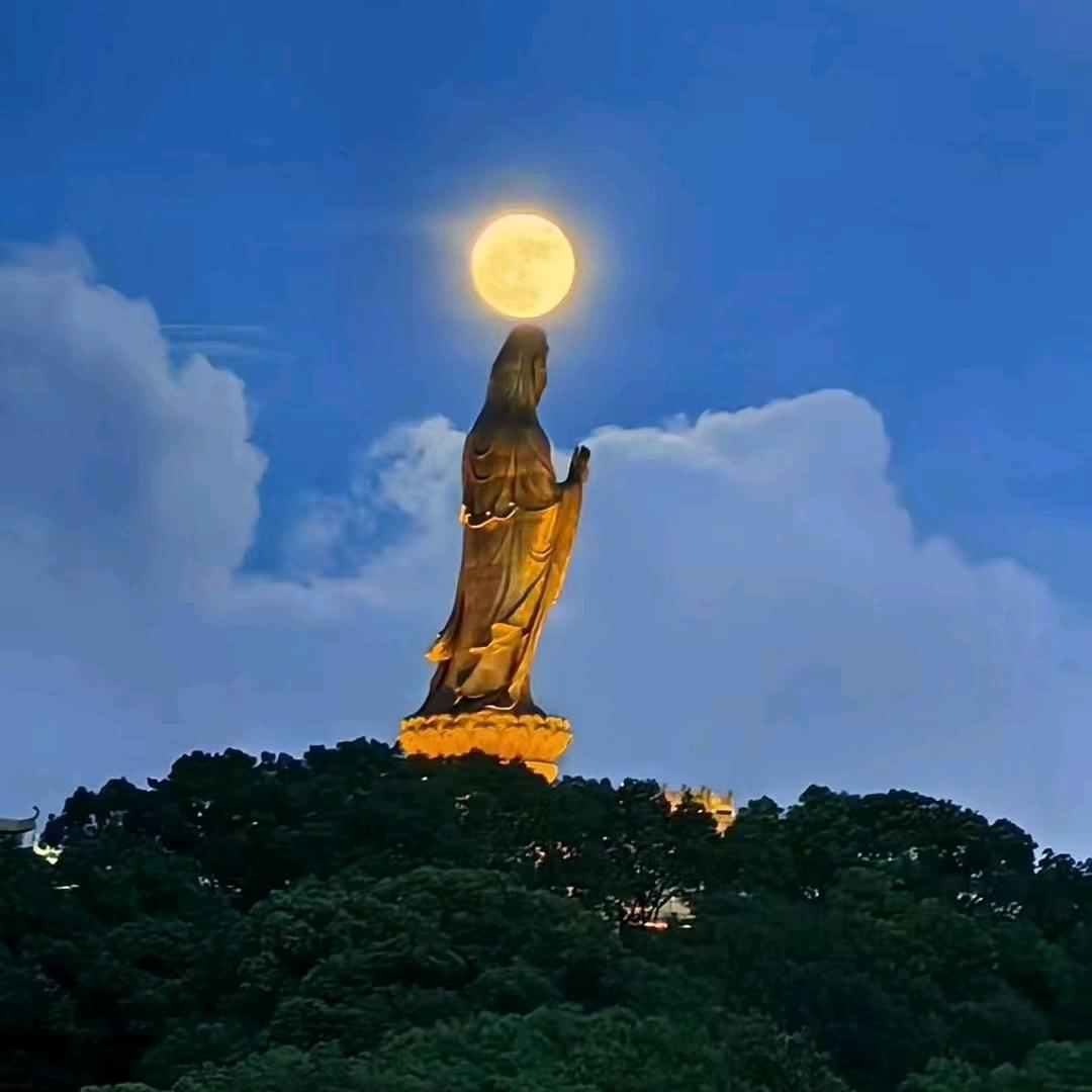 未来🍑可期