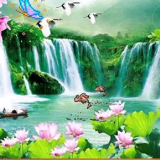 梦缘（男女相亲）