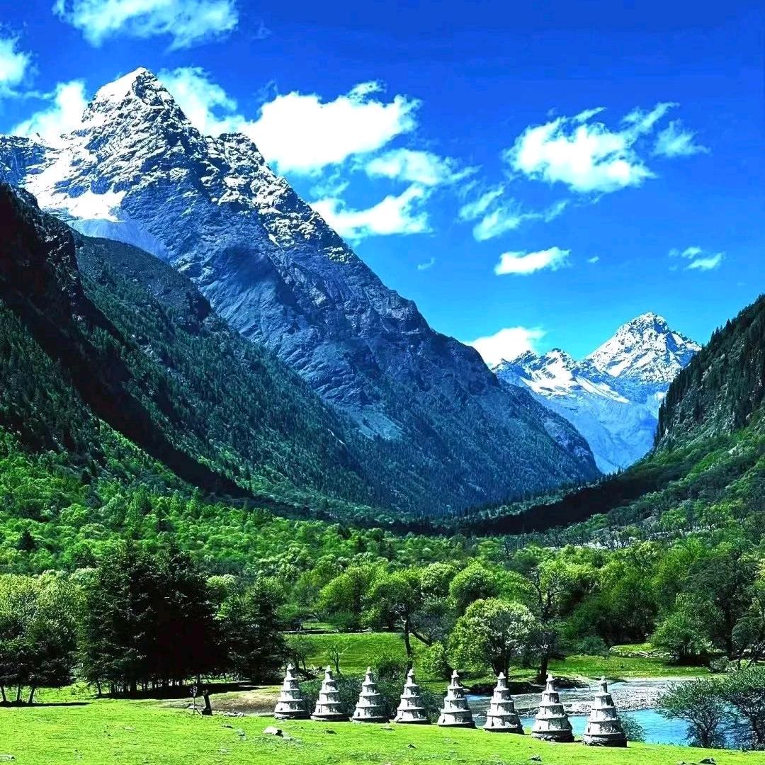 青木智能&四象智能